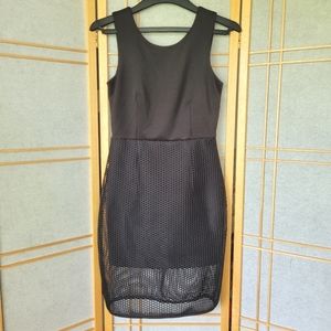 BCX dress size 5